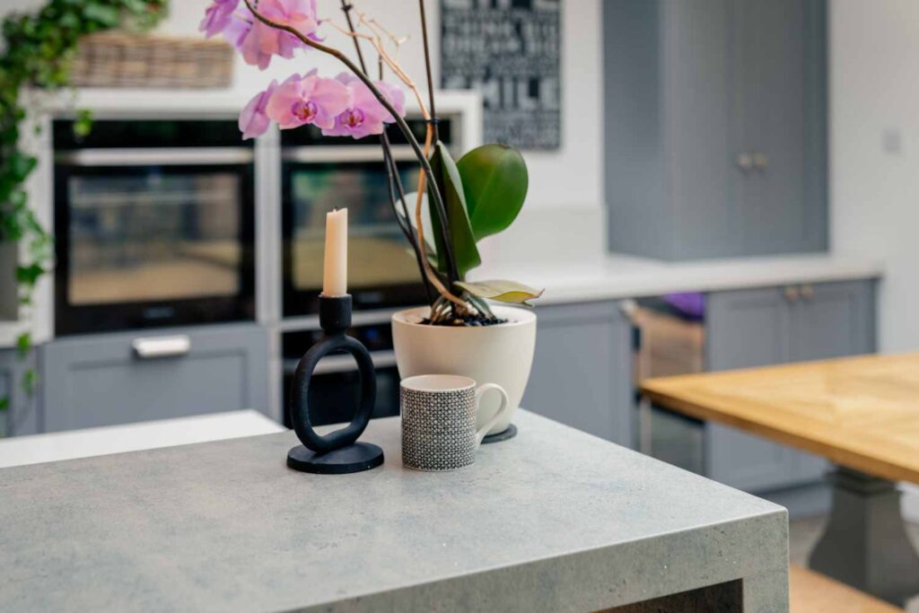 modern kitchen with plant on island